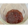 Piège à mucherons et drosophiles
